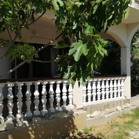 Apartments Mint Povljana - 50M From Sandy Beach Dış mekan fotoğraf