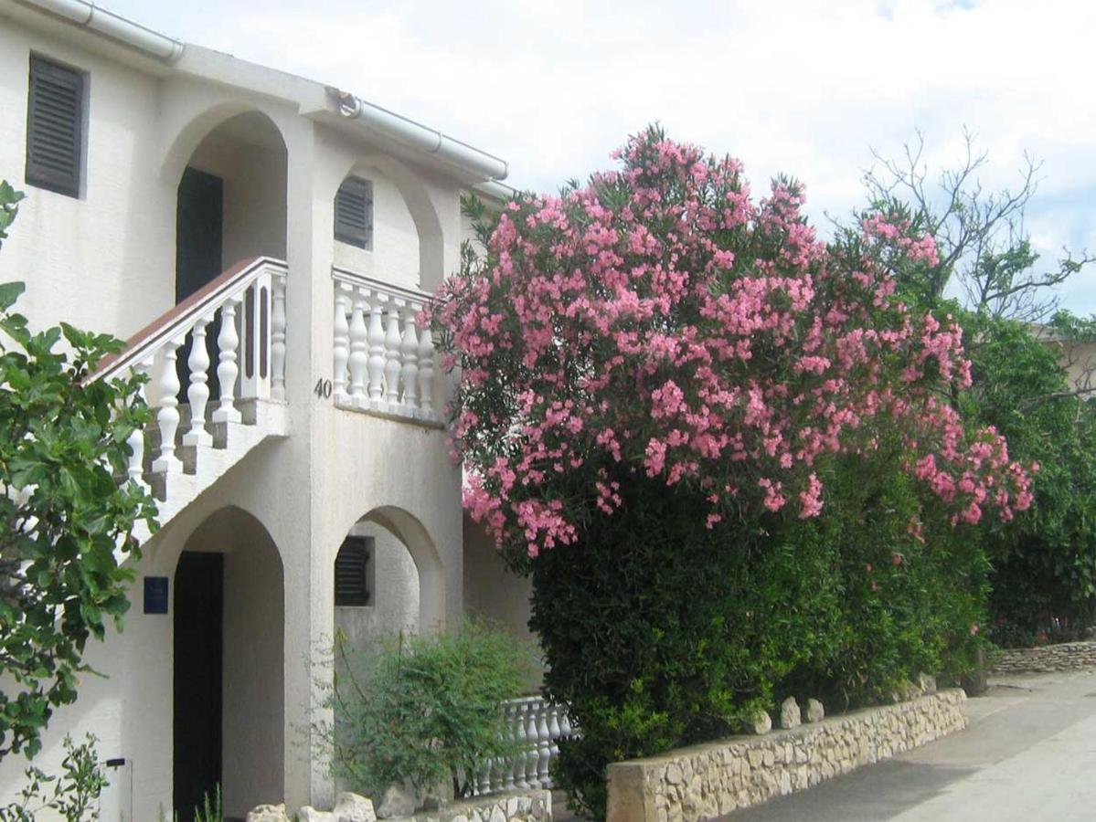 Apartments Mint Povljana - 50M From Sandy Beach Dış mekan fotoğraf