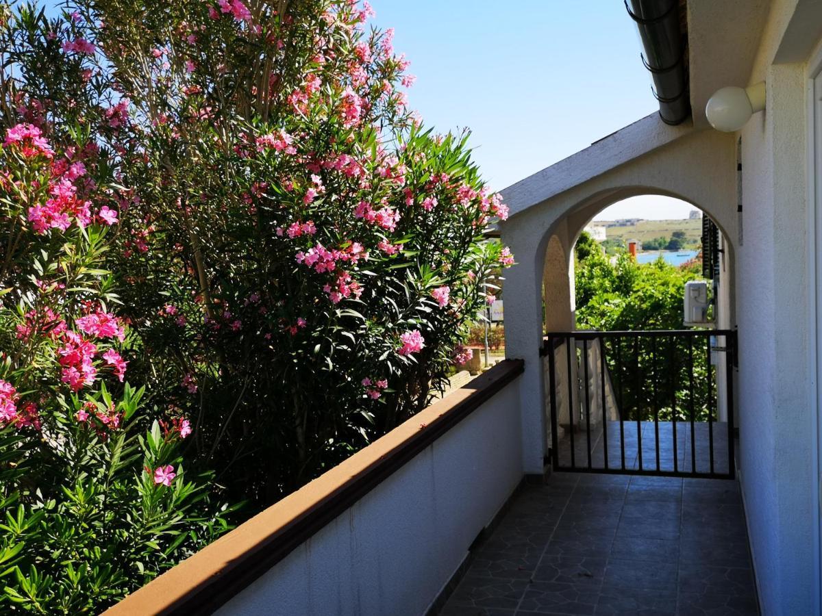Apartments Mint Povljana - 50M From Sandy Beach Dış mekan fotoğraf